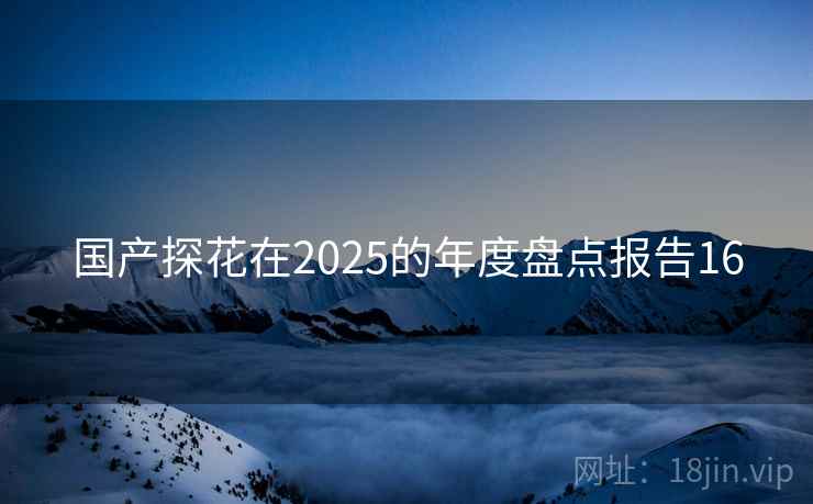 国产探花在2025的年度盘点报告16 国产探花在2025的年度盘点报告16