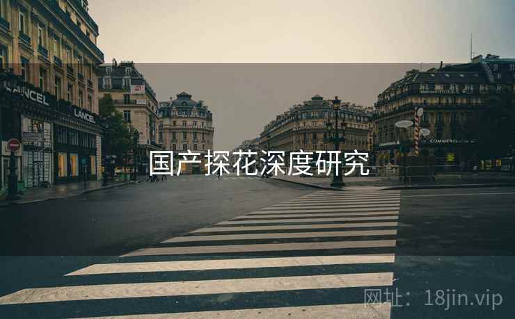 国产探花深度研究