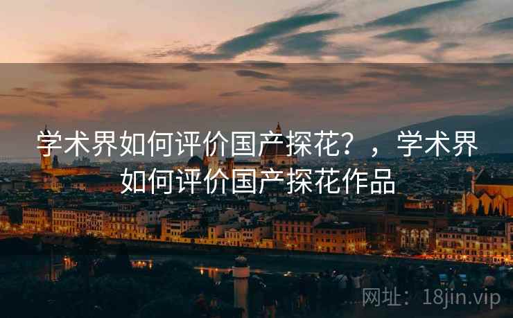 学术界如何评价国产探花？，学术界如何评价国产探花作品