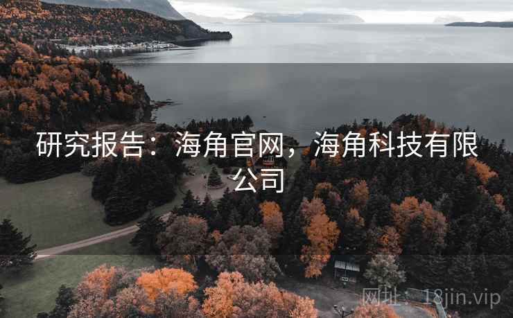 研究报告：海角官网，海角科技有限公司