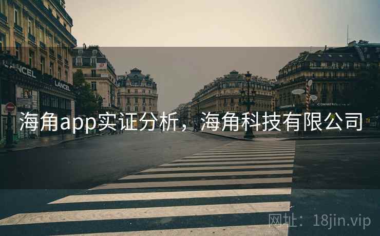 海角app实证分析，海角科技有限公司