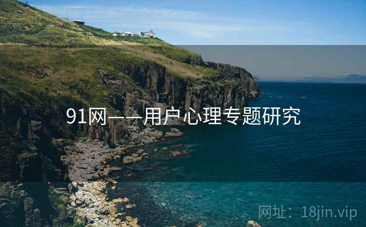 91网——用户心理专题研究