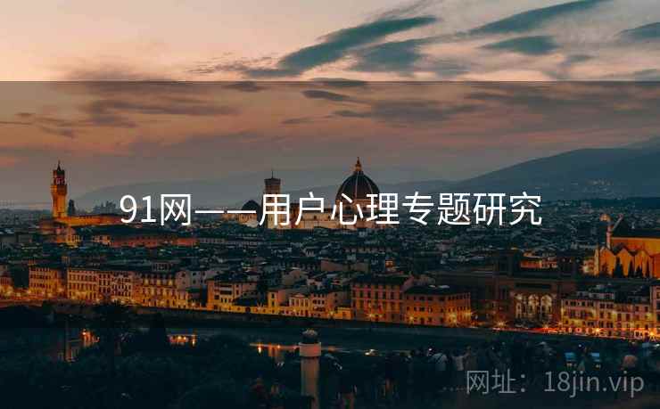 91网——用户心理专题研究 91网——用户心理专题研究