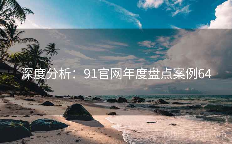 深度分析：91官网年度盘点案例64