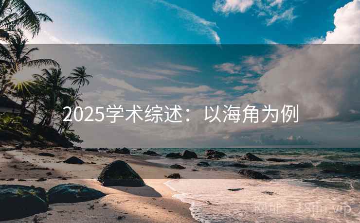 2025学术综述：以海角为例