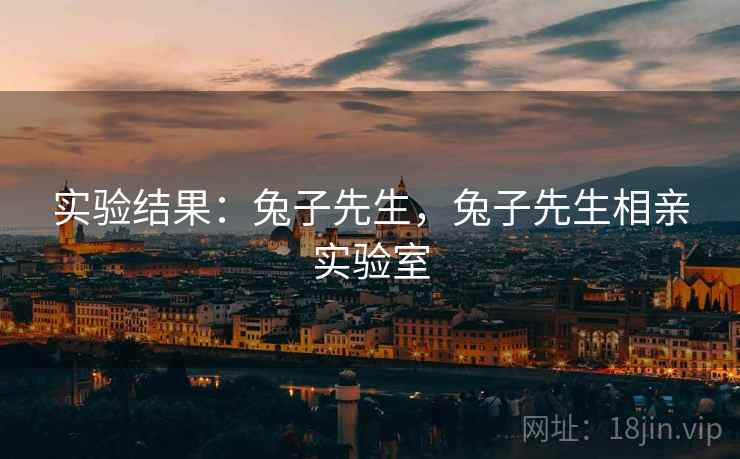 实验结果：兔子先生，兔子先生相亲实验室