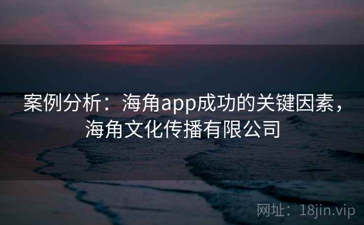 案例分析：海角app成功的关键因素，海角文化传播有限公司