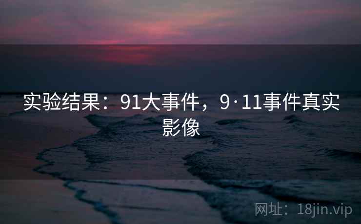 实验结果：91大事件，9·11事件真实影像