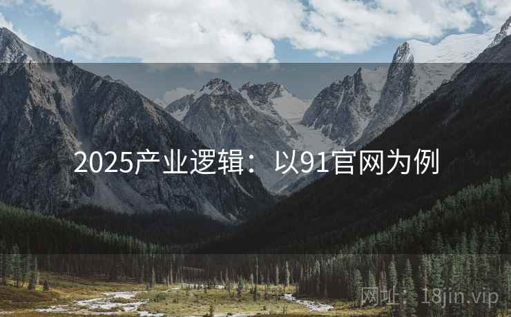 2025产业逻辑：以91官网为例
