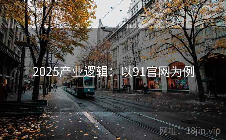 2025产业逻辑：以91官网为例