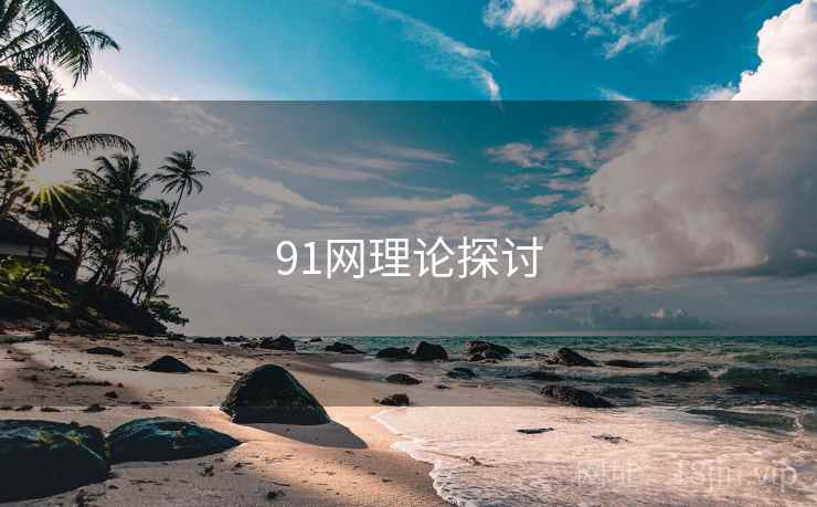 91网理论探讨