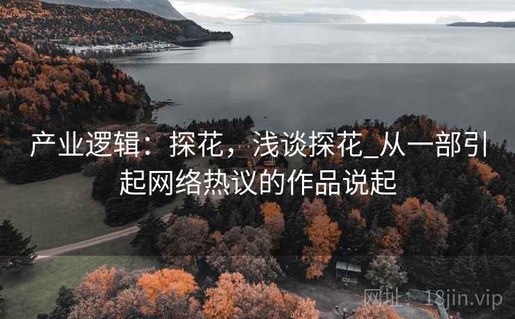 产业逻辑：探花，浅谈探花_从一部引起网络热议的作品说起