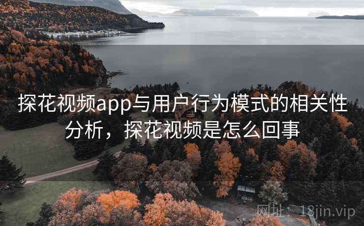探花视频app与用户行为模式的相关性分析，探花视频是怎么回事